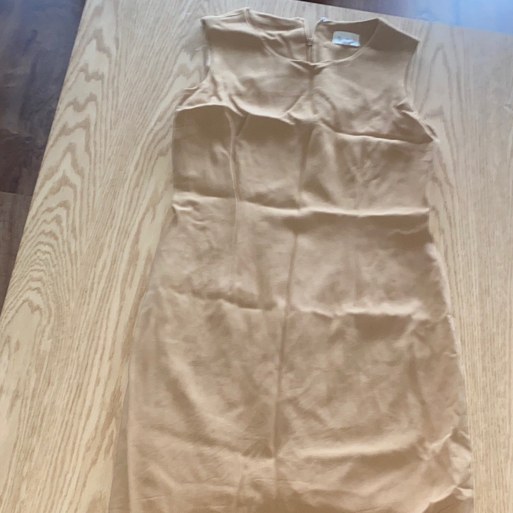 Elegant Tan Sleeveless Dress